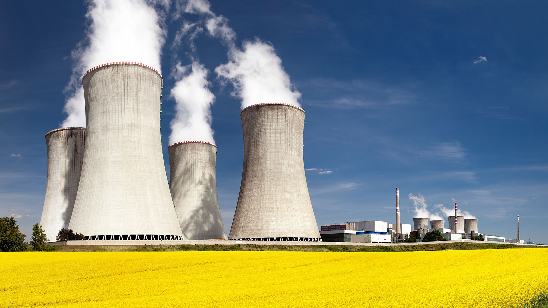 A nuclear reactor next to a field with a yellow crop.